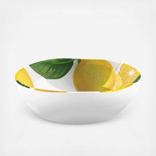 Lemon Fresh Melamine Cereal Bowl, Set of 6