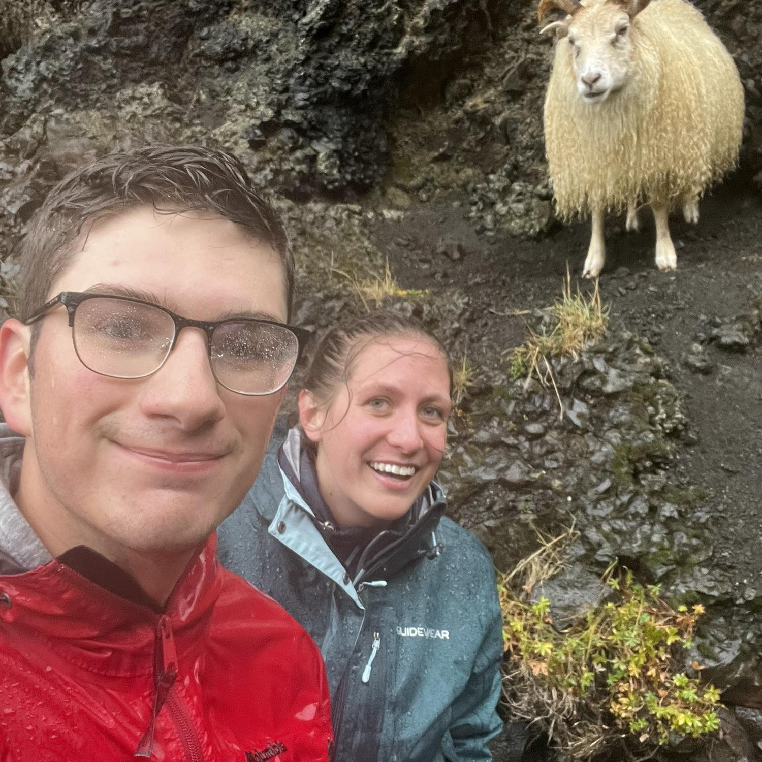 Found a friend while hiking in Iceland