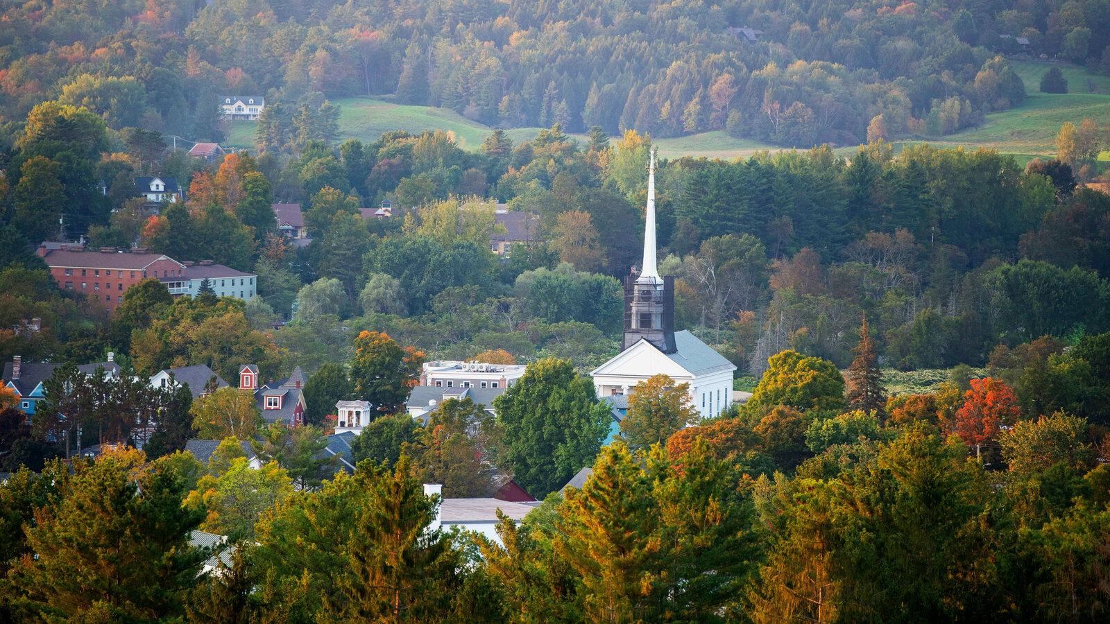 The Wedding Website of Mollie FitzGerald and Xavier Donaldson