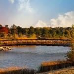 Holmes Lake Park
