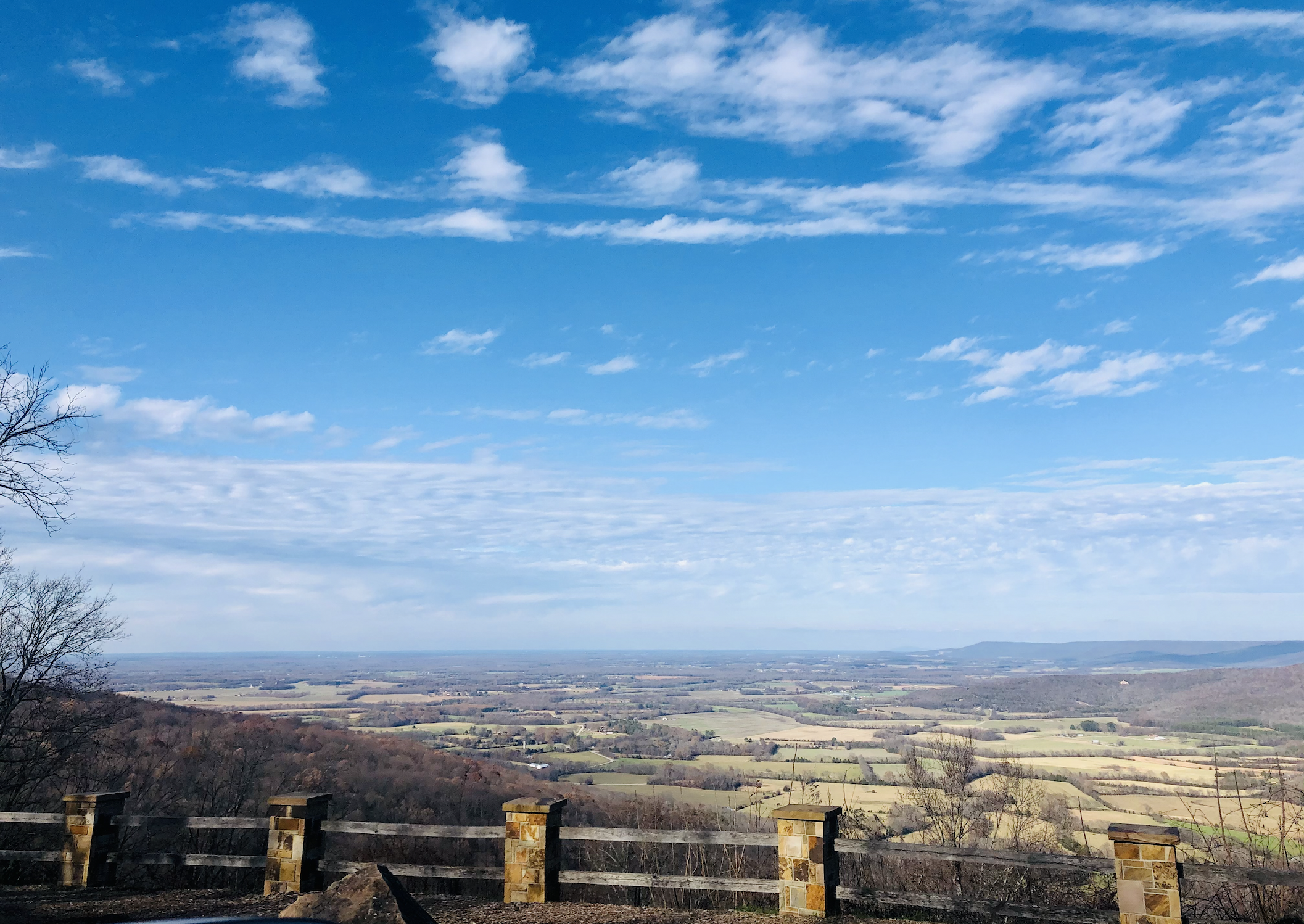 The Wedding Website of Grace Garbee and Ford Moriarty