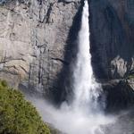 Yosemite National Park