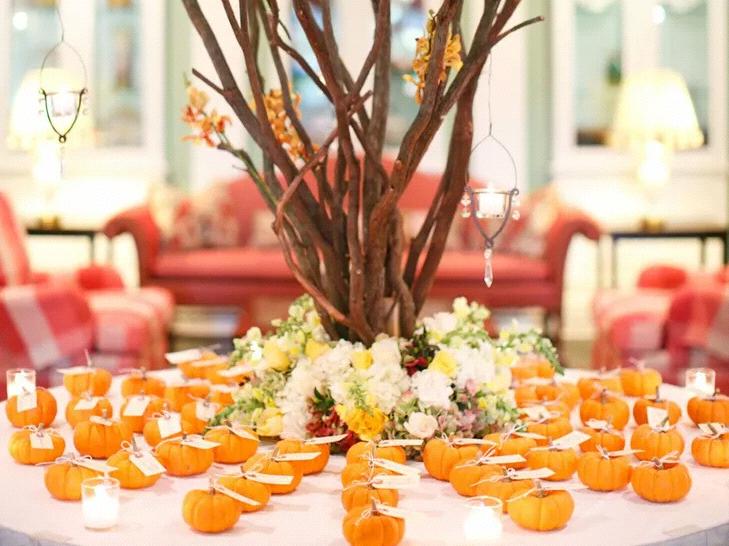 The Wedding Website of Tianna Marie Ryan and William Travis Hardin