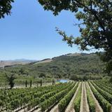 La Nascosta Winery