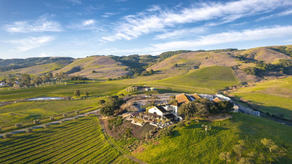 The Wedding Website of Te Jay McGrath and Nicholas Dowling