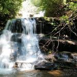 Martins Creek Falls