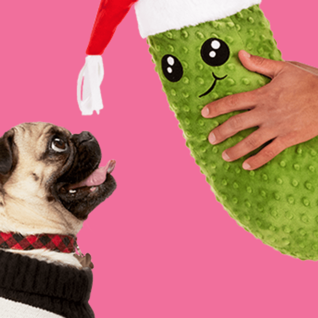 CHEW TOYS FOR SCHMIDT!
