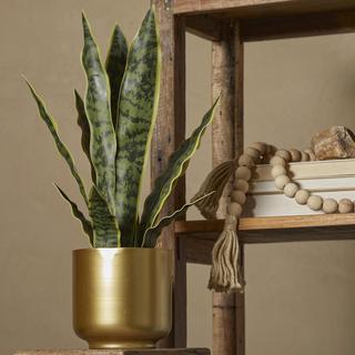 Snake Artificial Plant & Gold Pot Set