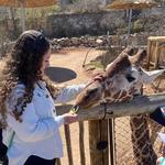 Cheyenne Mountain Zoo