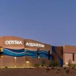 OdySea Aquarium and Butterfly Wonderland