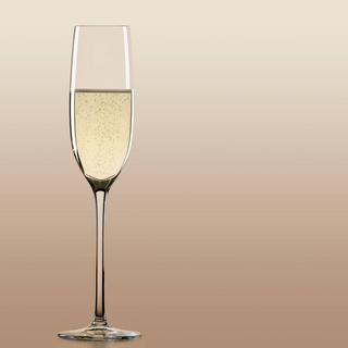 Tuscany Classics Champagne Flute, Set of 4