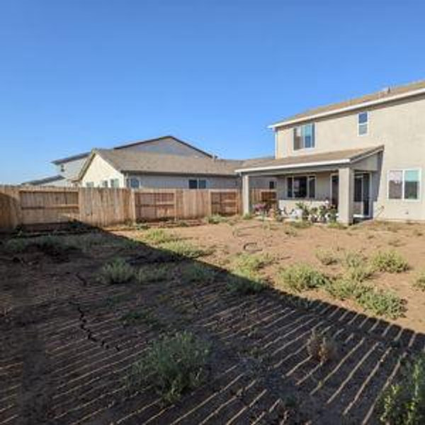Backyard Transformation