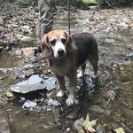 Old Squaw Trail