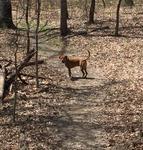 Bernheim Arboretum & Research
