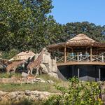 Omaha's Henry Doorly Zoo and Aquarium