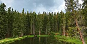 Mueller State Park