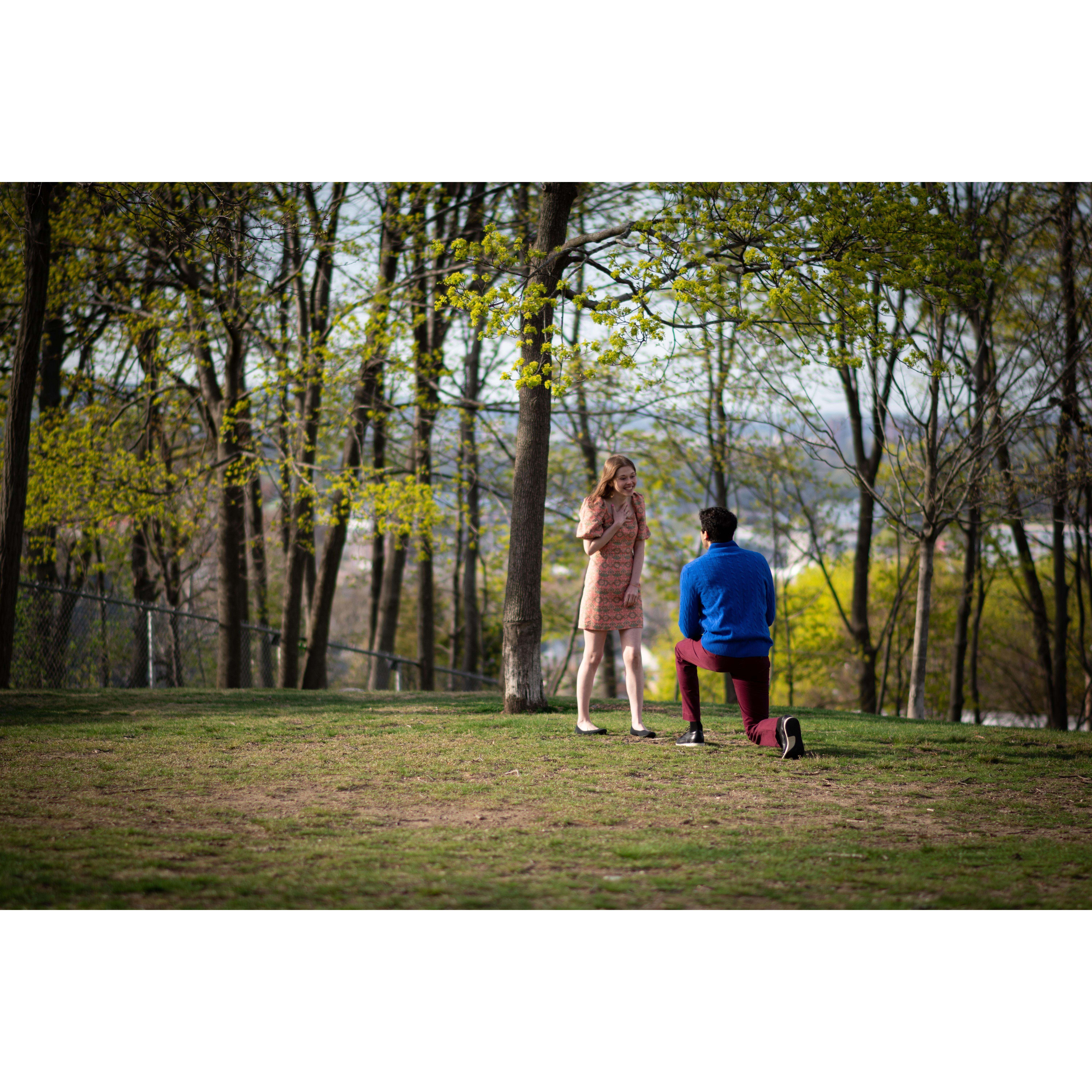 She said yes! 
Corey Hill in Brookline, MA