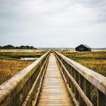 Newtown Creek