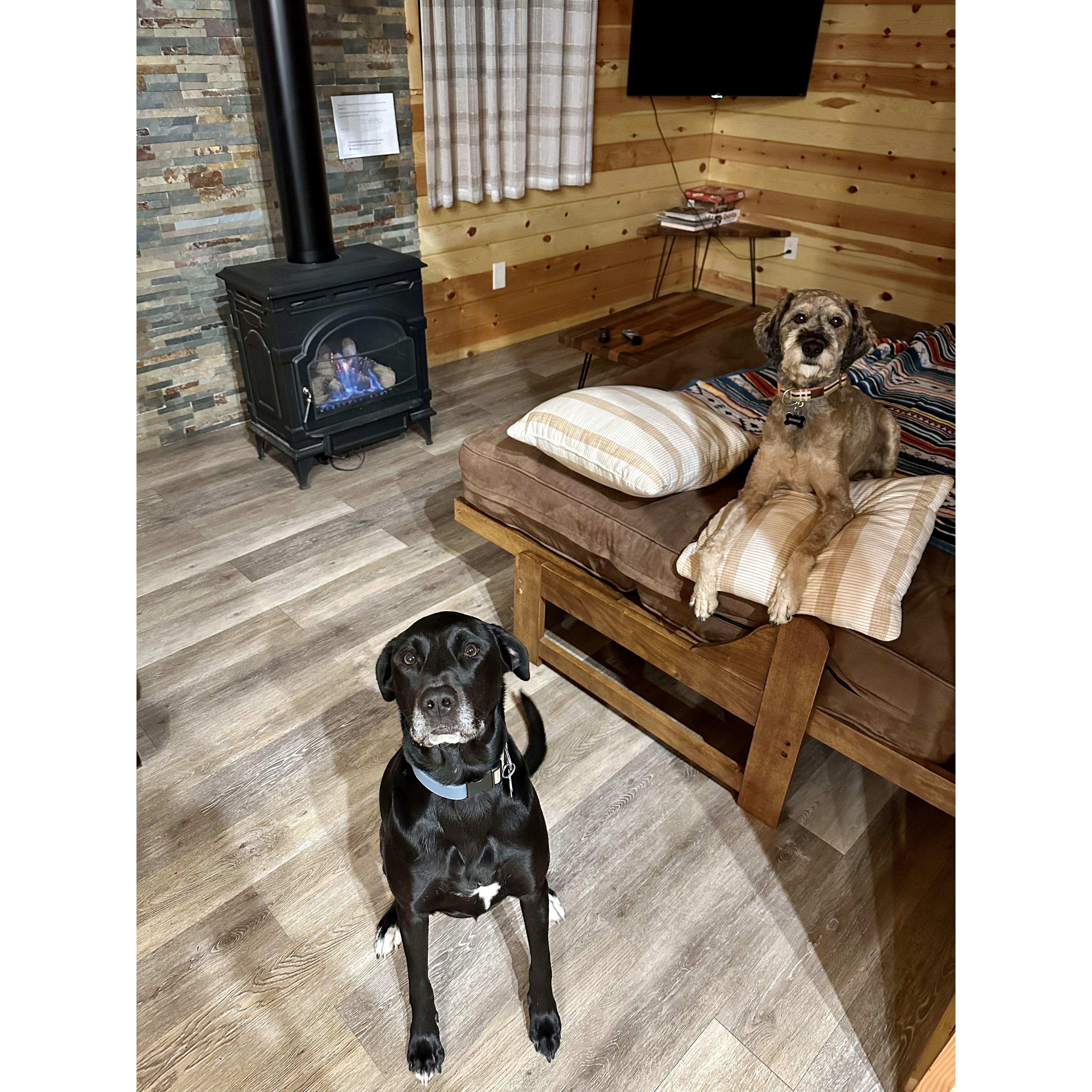 Cozy Sedona cabin, M & M loved it!