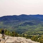 Bears Den