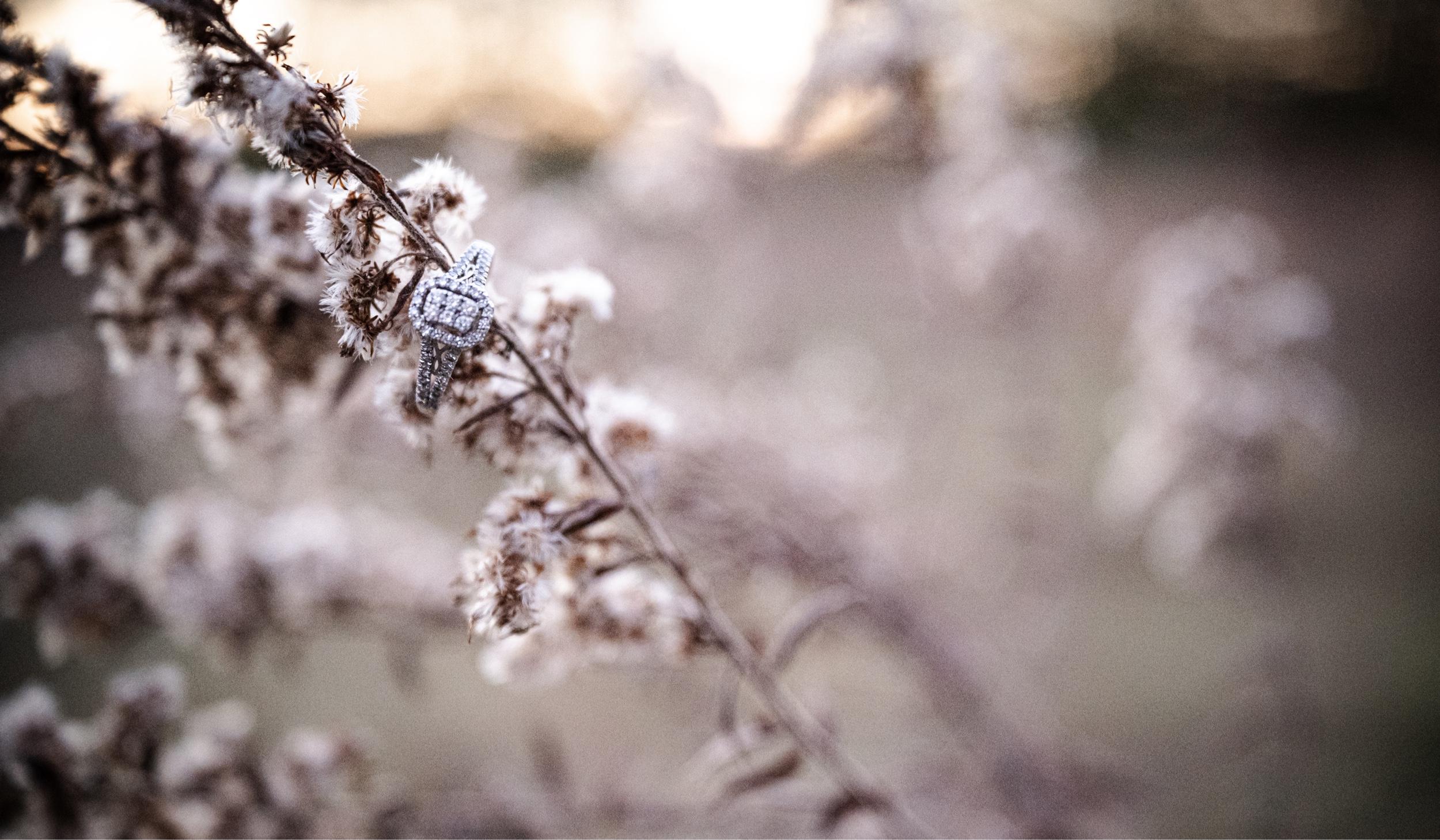 Hero Slideshow Image 3