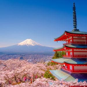 Mount Fuji & Lake Kawaguchiko Overnight Stay