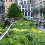 The High Line