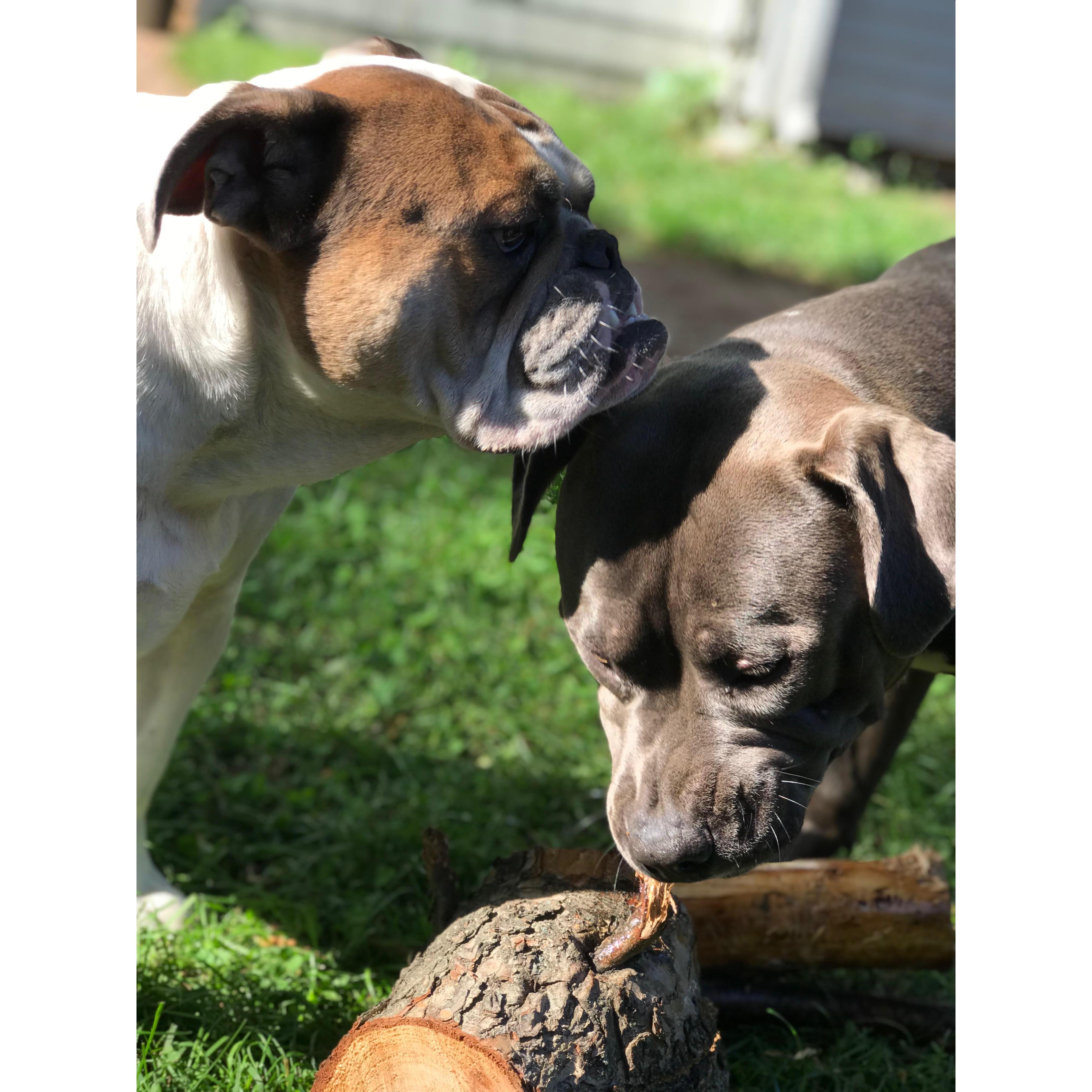 Our Boys
June 2018