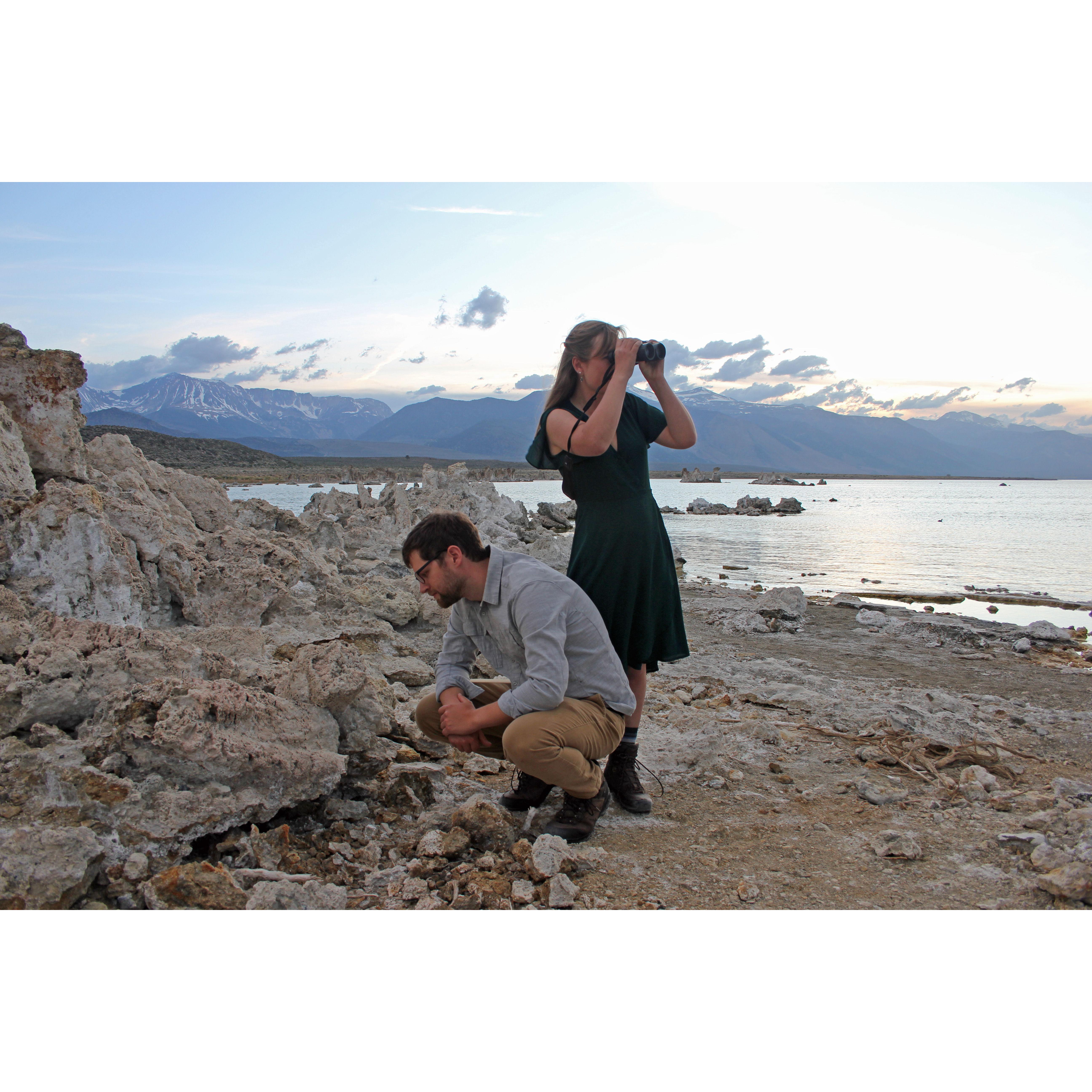 Ornithologist meets Geologist 