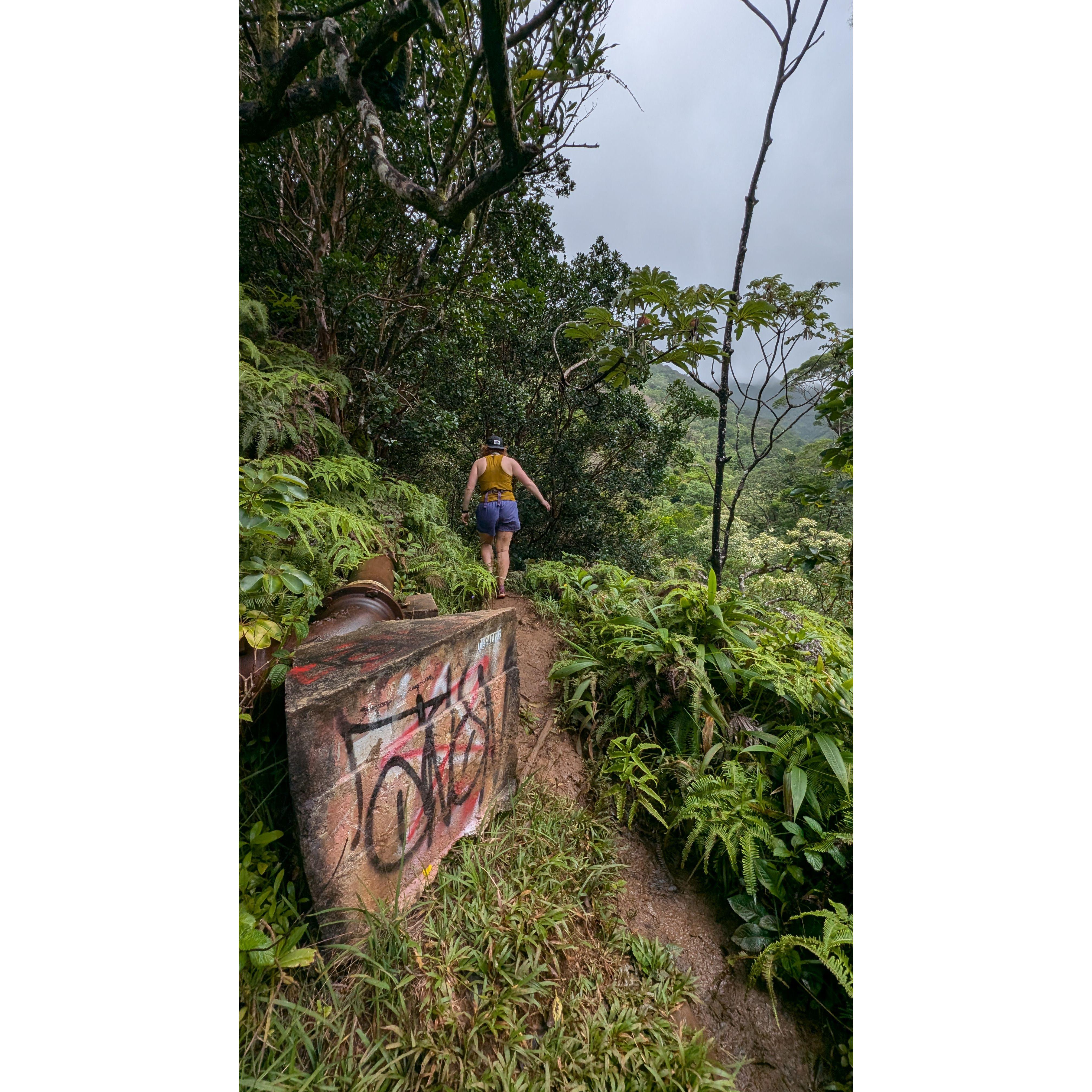 Taking the pipeline trail w/me in HI