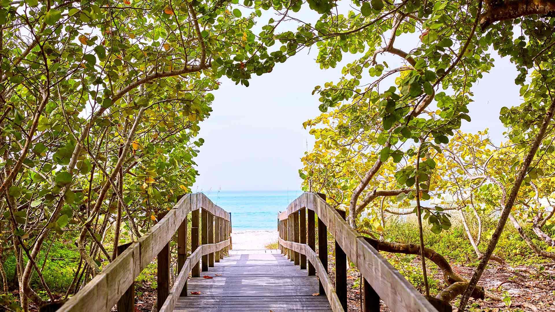 The Wedding Website of Mackenzie Ellen Roberts and Anthony Percy Caraballo