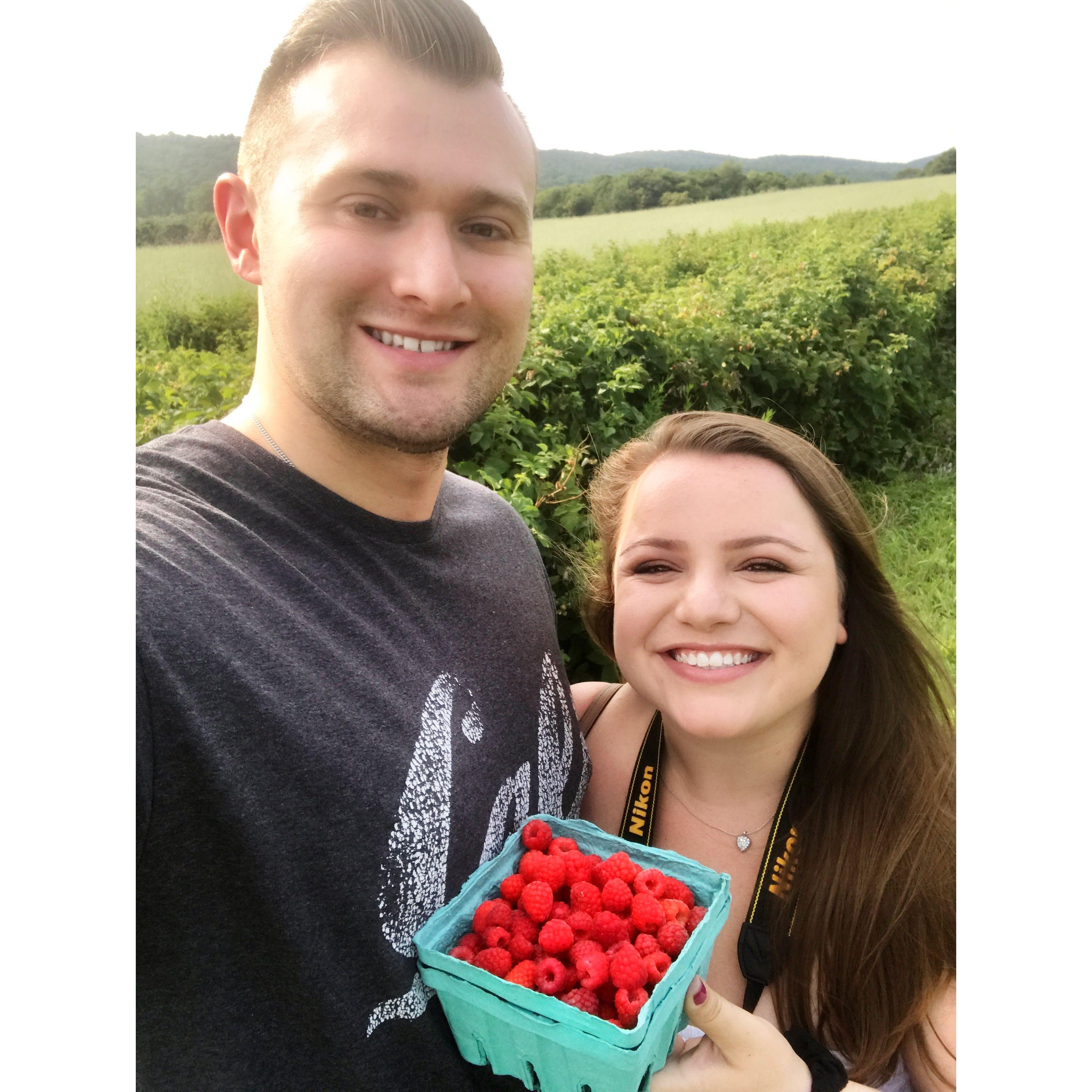 Raspberry Picking, CT ~ July 2019