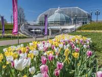 Phipps Conservatory