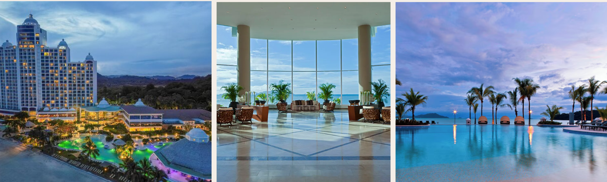 The Wedding Website of Isabela Sofia Cheng and Darwin Javeon Gray