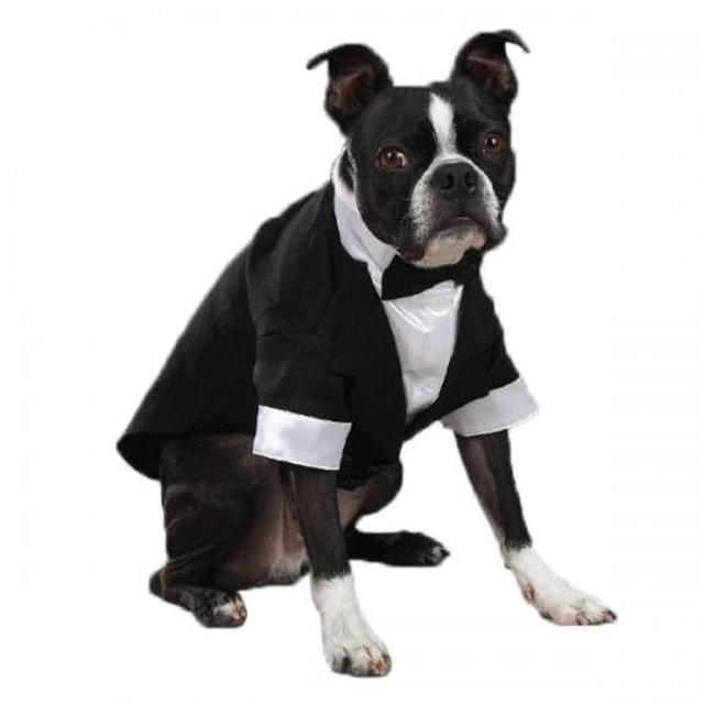 East Side Collection "Yappily Ever After" Groom's Tuxedo for Dogs, 12" Small