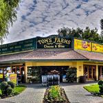 Tom's Farms