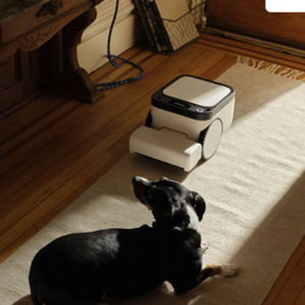 Joel Wants This Robot Vacuum