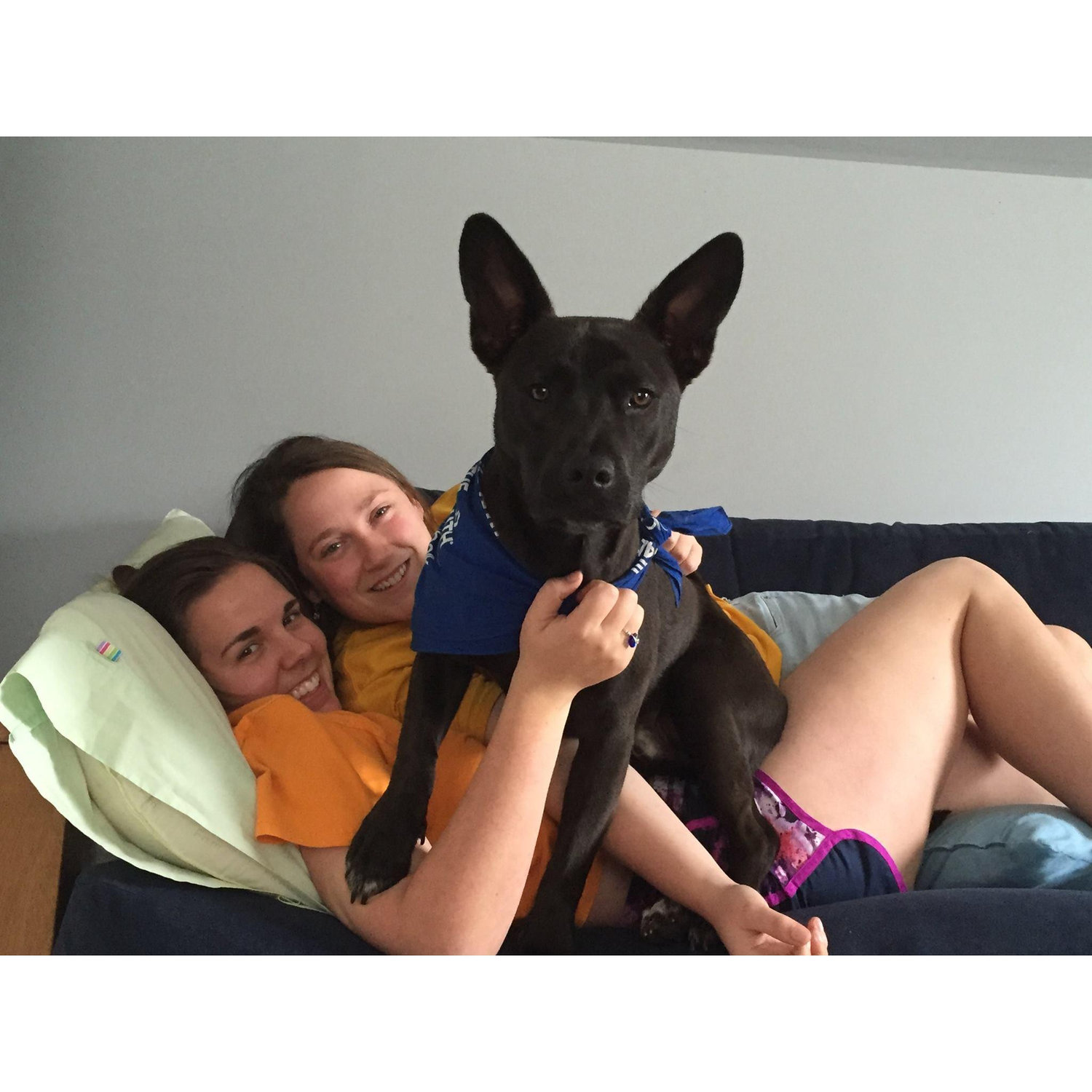 Our favorite boy, Barley. 2016.