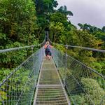 Saturday Morning - Birdwatching