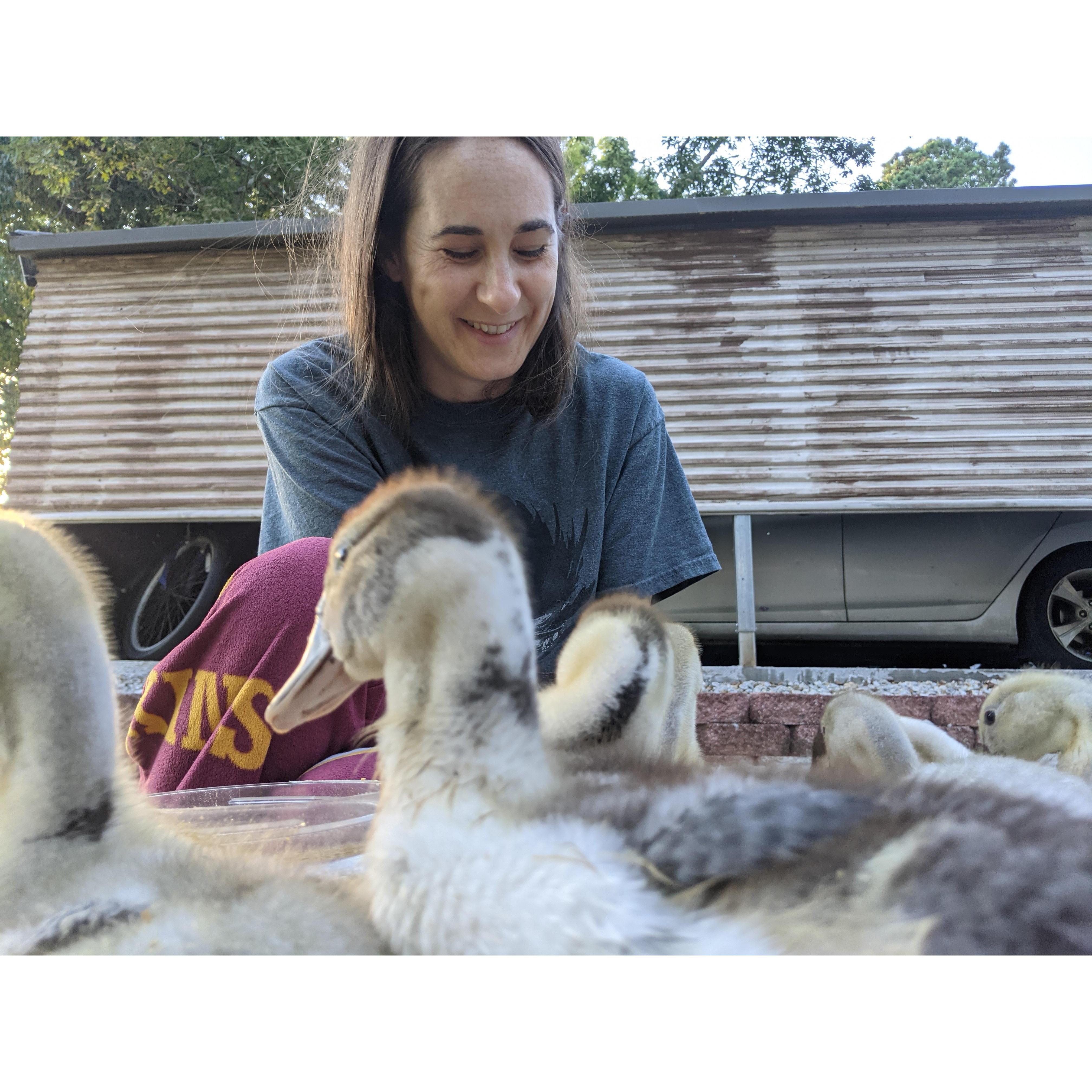 Amanda loves all the animals