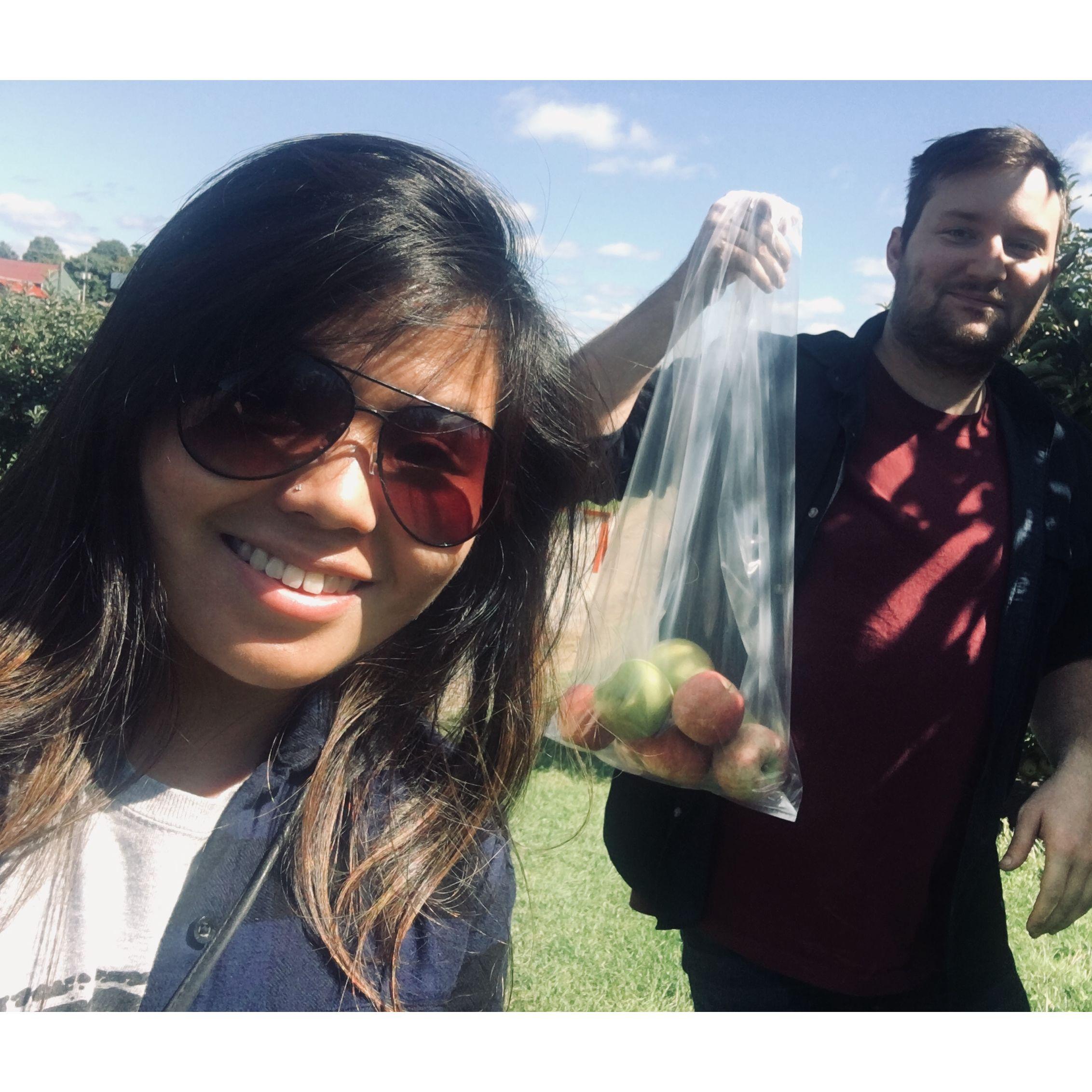 Apple Picking!