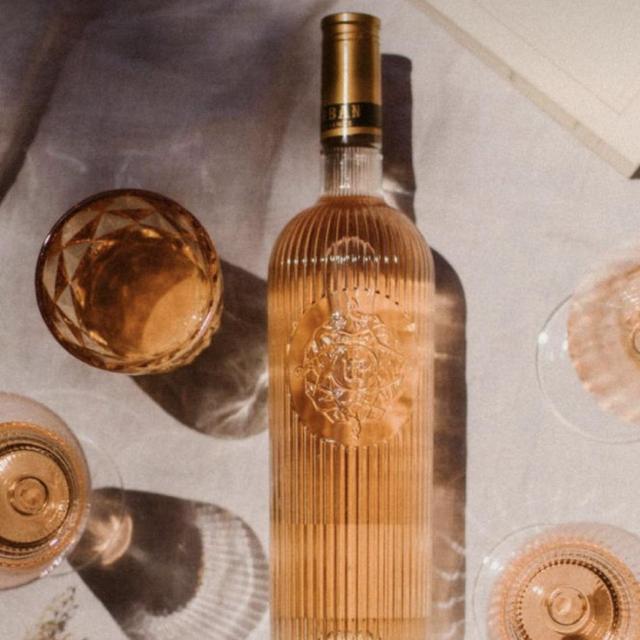 Provence Vineyard Wine Tasting
