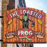 The Toasted Frog