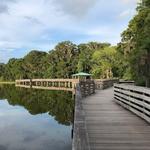 Palm Island Park