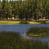 J.D. Dam Lake