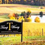 Trump Winery