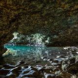 Animal Flower Cave