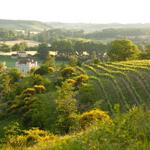 Domaine de Herrebouc – Wine Tours & Tastings