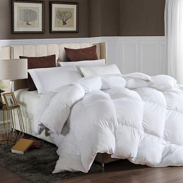 LESNNCIER Queen Down Alternative Comforter - Lightweight Duvet Insert All Seasons Ultra Plush Microfiber Fill Goose Down Alternative Comforter Machine Washable