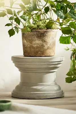 Cement Pedestal Plant Stand, Round